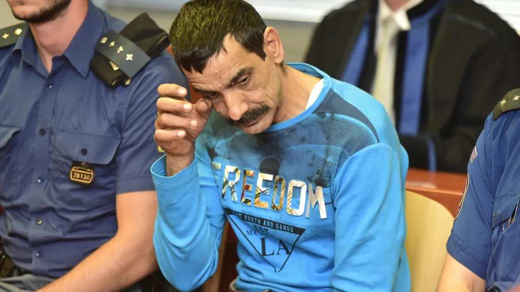 Jaroslav Topinka dostal jako komplic vraha desetiletý trest