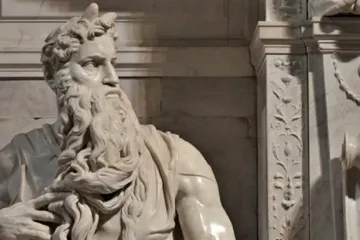 Do Pardubic přijde jaro až na podzim 