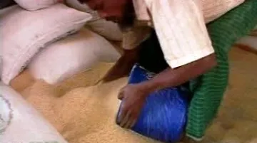 Dělník balící rýži