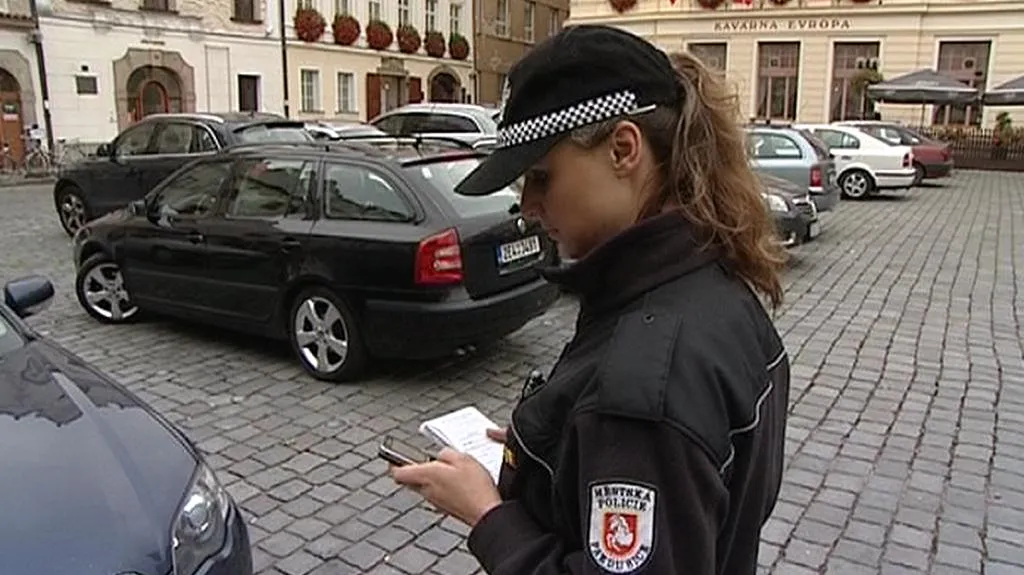 Městská policie Pardubice