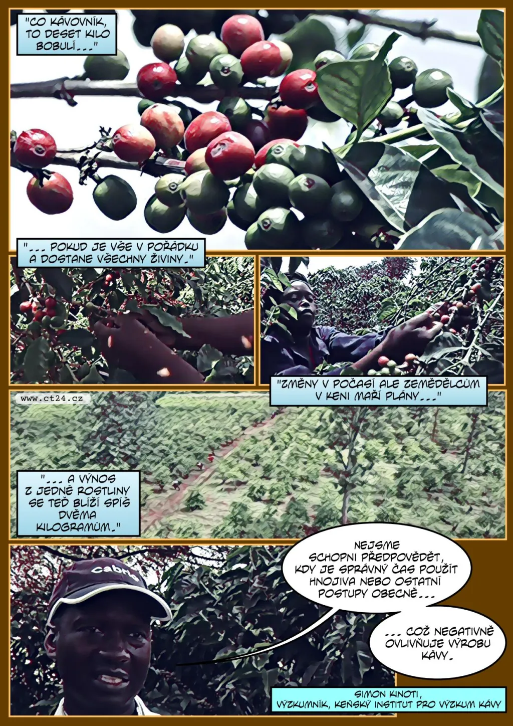 Pandemie a klimatické změny mají dopady na pěstování kávy