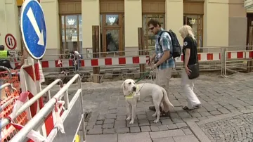 Cesta s vodicím psem je pro nevidomého bezpečnější