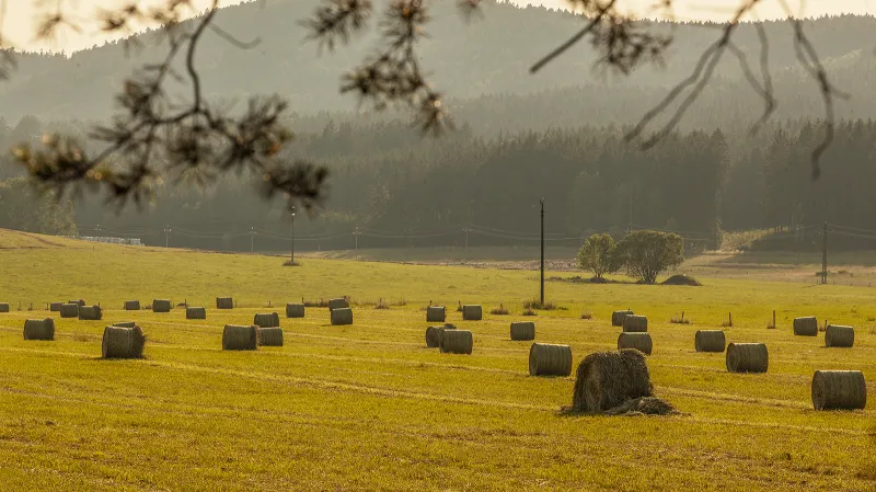 „Chtěl bych, aby se Strašice staly Svatým Mořicem Brd,“ říká optimistický starosta obce. Pohledy z okraje bývalého vojenského areálu, pro který se mezi starousedlíky vžil termín „Na blahobytu“, jsou jako z turistického průvodce.