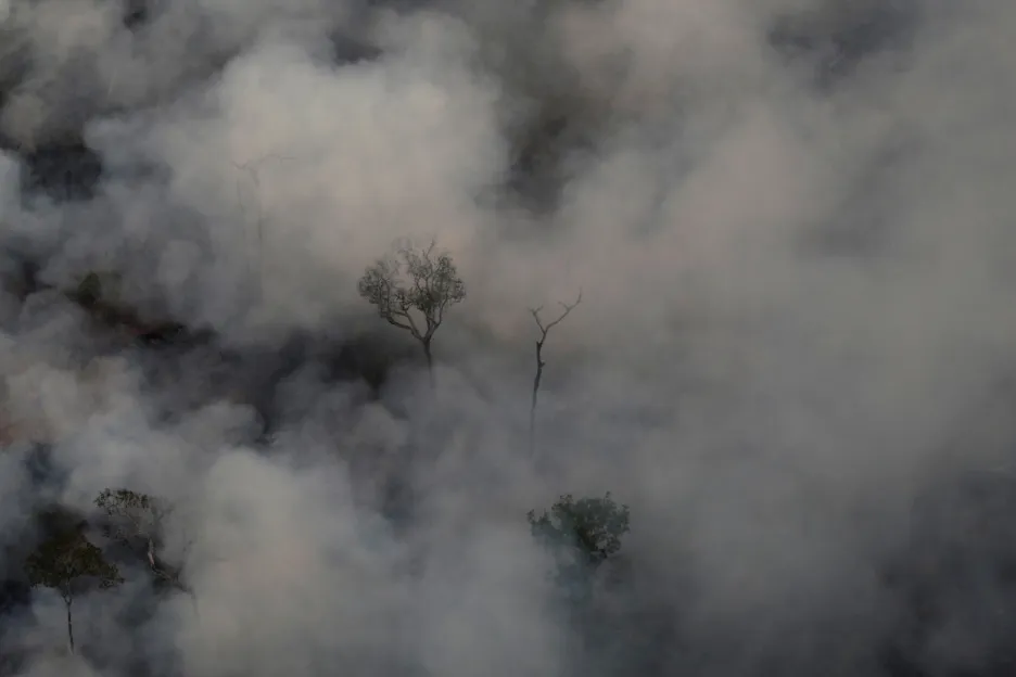 Kouřem zahalený prales v oblasti Porto Velho