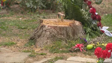 Rozptylová loučka na Ústředním hřbitově v Brně