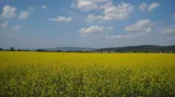 Rozhovor s Martinem Hlaváčkem a Janem Velebou