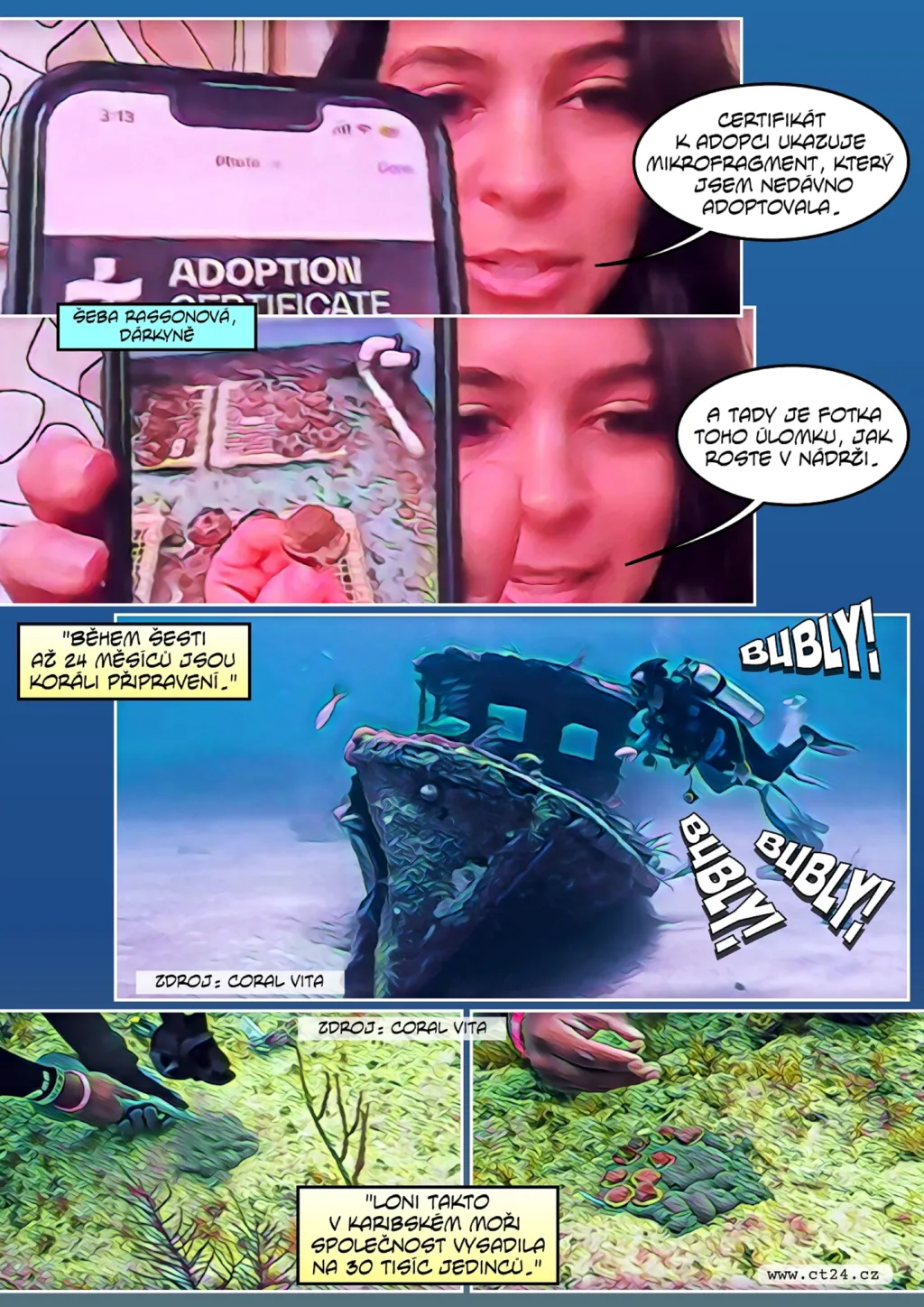 V laboratořích pěstují korály, aby zachránili útesy