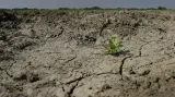 Vědci z CzechGlobe: Za častější epizody sucha může probíhající změna klimatu