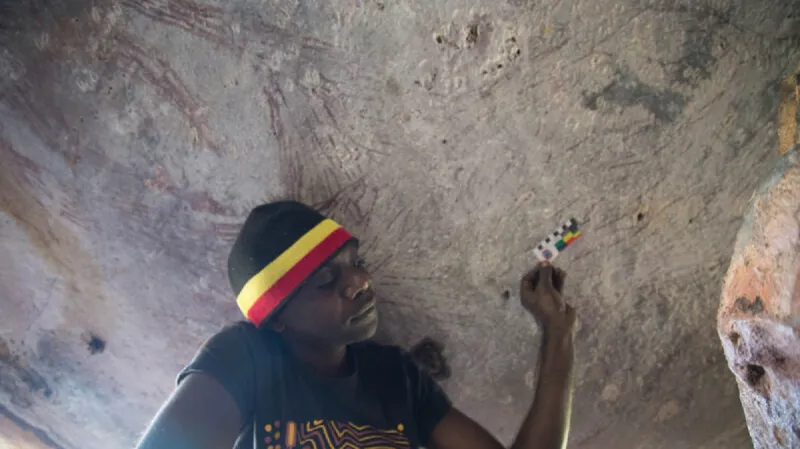 Část obrazu klokana