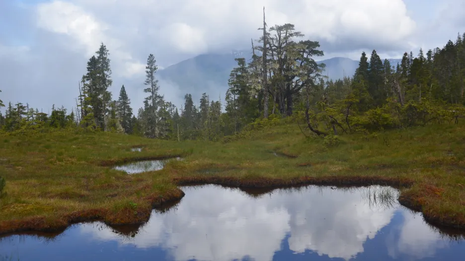 Národní les Tongass na Aljašce