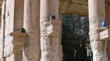 Fotografie zkázy Palmýry