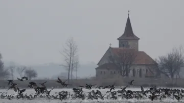 Kostel svatého Linharta