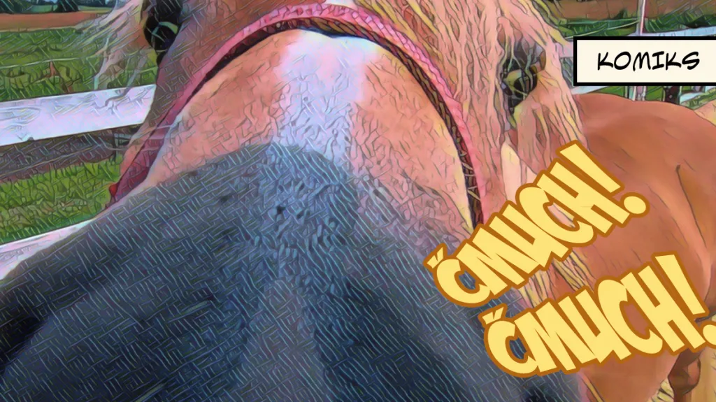 V Česku roste obliba agroturistiky