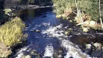 Šumavský národní park