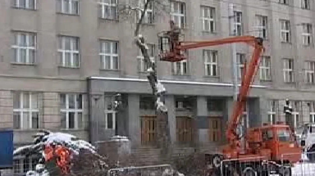 Kácení stromů v centru Hradce Králové