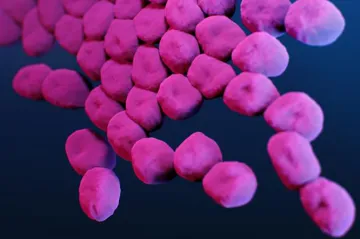 Vědci popsali, jak nebezpečný patogen plíživě získal imunitu vůči antibiotikům