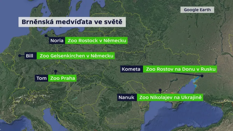 Brněnská medvíďata ve světě