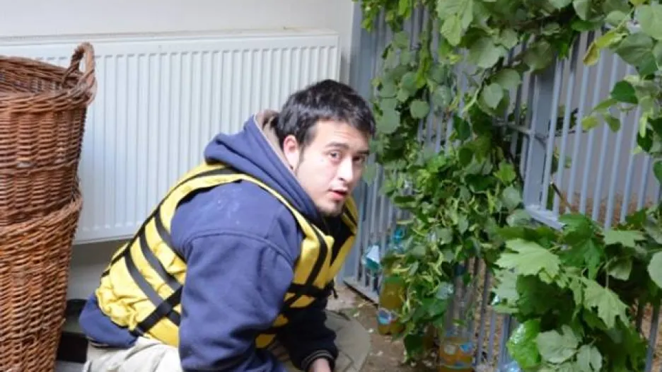 Krmení goril v povodňové věži