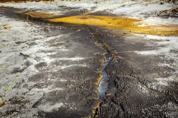 Island i bolivijská poušť na západě Čech. V rezervaci Soos bublá voda a vzduch voní solí