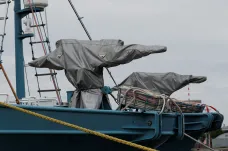 Japonské lodě vyrazily na komerční lov velryb. Poprvé po 31 letech
