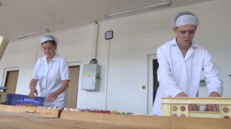 Z dětského domova k práci, třeba jako cukráři