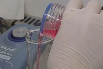 Česká věda má málo peněz a neumí je využít