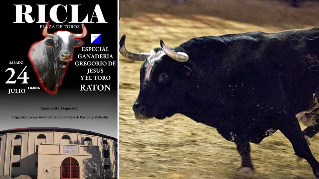 Legendární býk Ratón