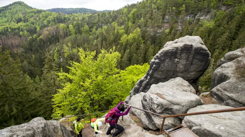 Zřícenina skalního hradu Šaunštejn v Českém Švýcarsku