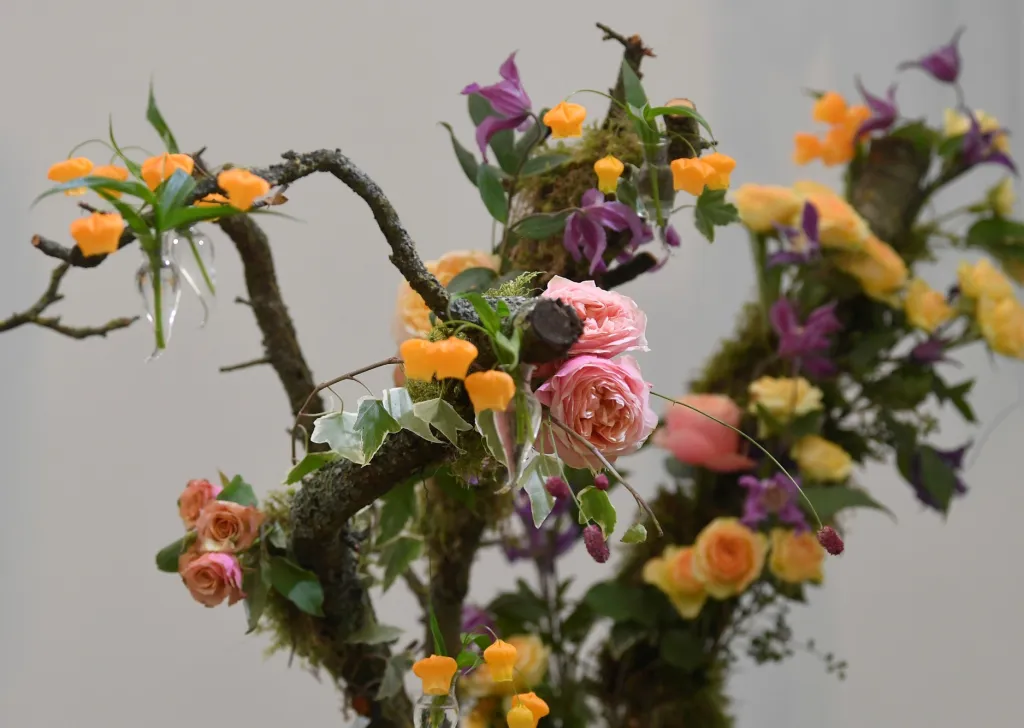 Přehlídka pěstitelů květin, floristů a aranžérů Chelsea Flower Show v Londýně nabízí milovníkům zahrad tu nejzajímavější podívanou ve Velké Británii