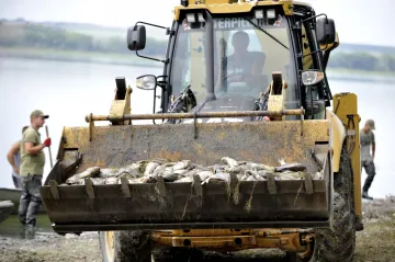 „Občas je v rybníce zřetelný pohyb.“ Nesytu po masivním úhynu ryb chybí to hlavní. Voda