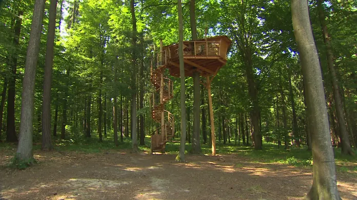Obyvatelé domku v korunách stromů žijí sedm metrů nad zemí