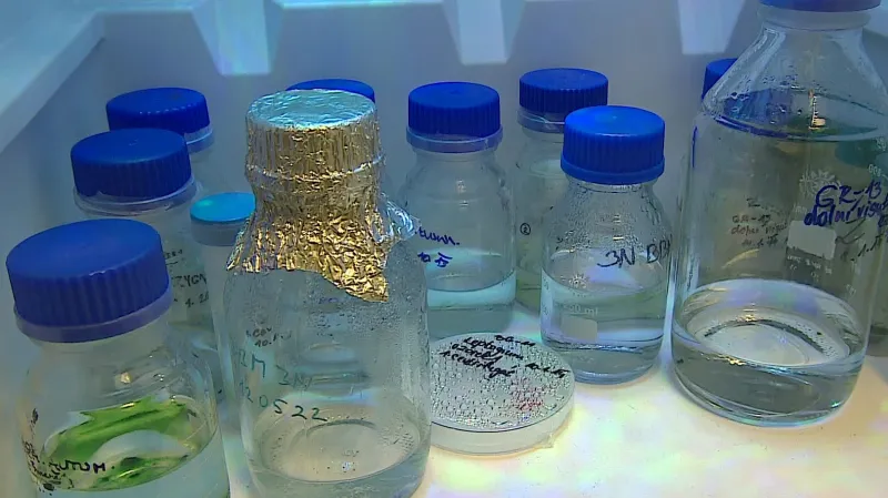 Vzorky v laboratoři