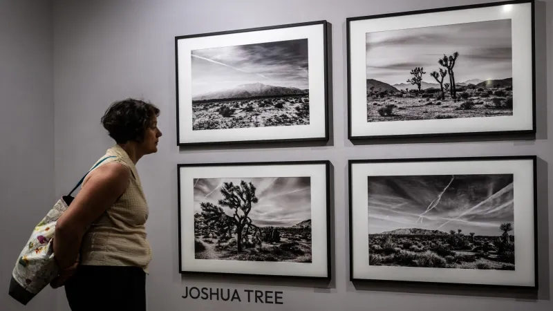 Z výstavy Juliana Lennona v Leica Gallery
