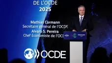 Generální tajemník OECD Mathias Cormann