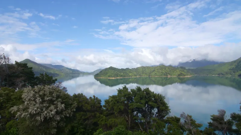 Z dokumentu Kiwiland