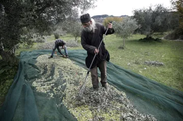 Jako za starých časů: V Řecku se platí naturáliemi