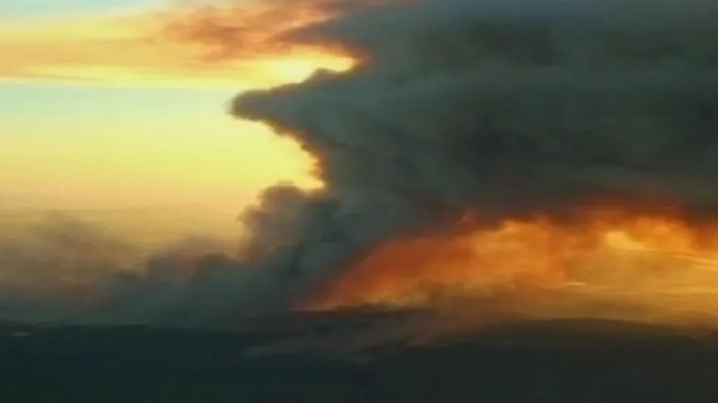 Požár karmelského lesa v roce 2010