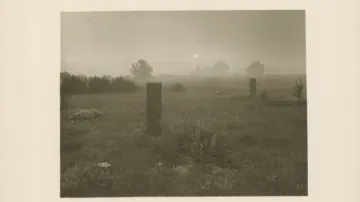 Josef Sudek, bez názvu (u Sivků v Provodíně), 1954