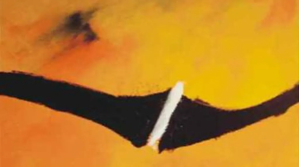 Obraz Heidi Kalkmannové