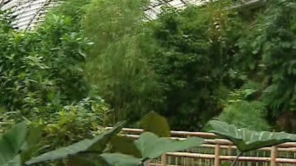 Botanická zahrada Praha
