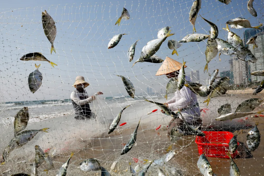 Lidé sbírají ryby na pláži ve vietnamském městě Danang