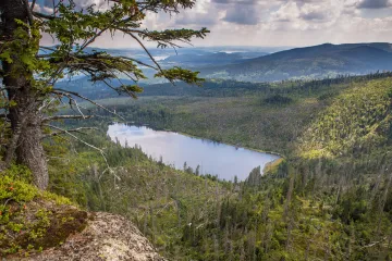 Divoká a nespoutaná Šumava a mimořádně pestré Podyjí. Oba národní parky slaví třicet let