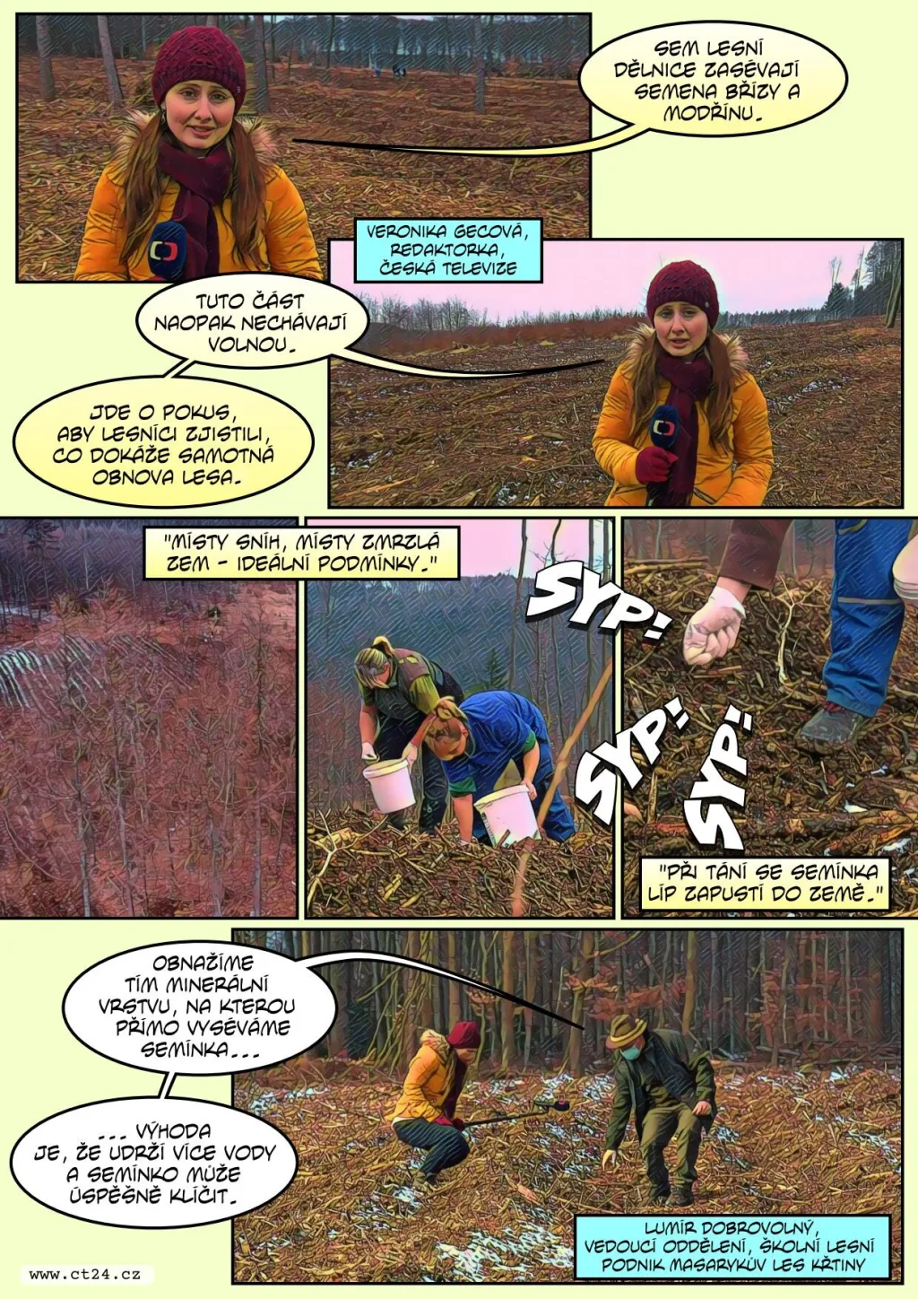 Odolné stromy by mohly vytlačit kůrovce