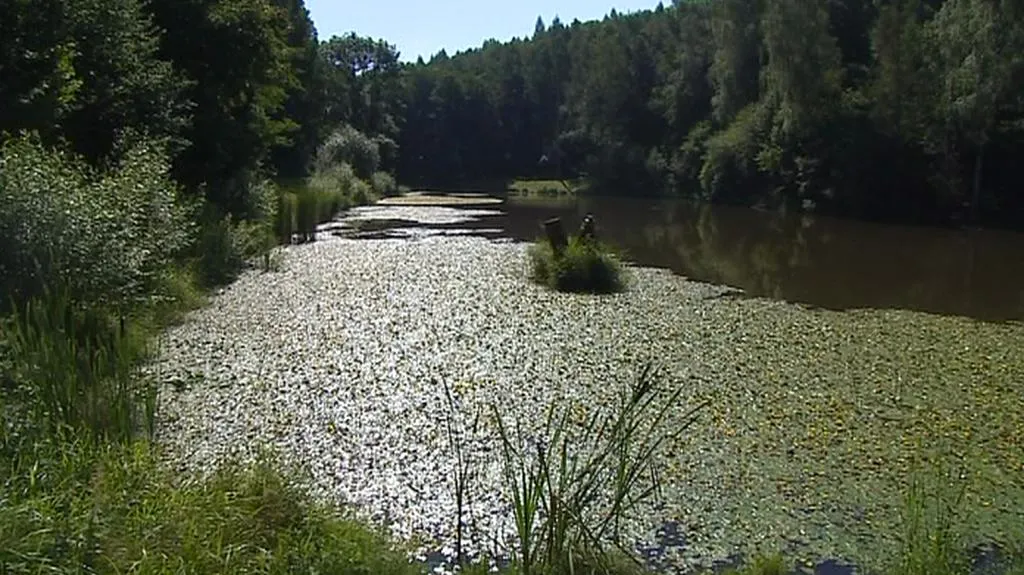 Údolí Rudolfovského potoka