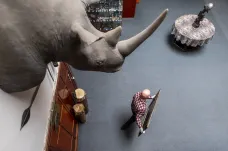 Safari park stěhoval mamuta. Galerie Zdeňka Buriana zapůjčila obrazy do Znojma