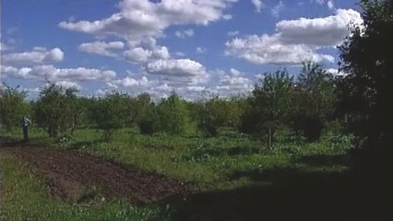 Pozemky Pavlovské experimentální stanice