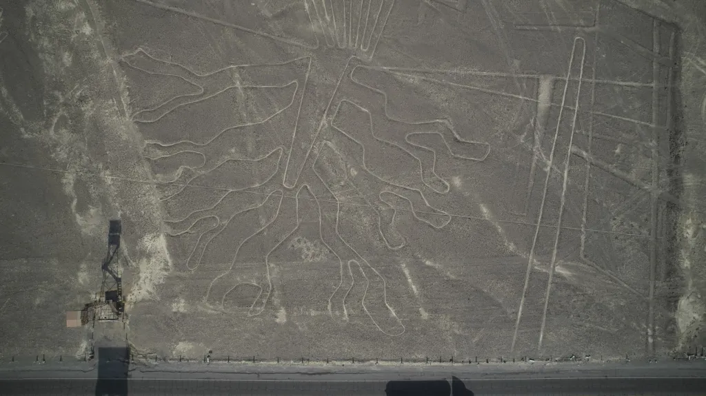 Nově objevený obrazec z planiny Nazca
