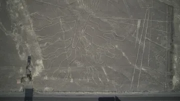 Nově objevený obrazec z planiny Nazca