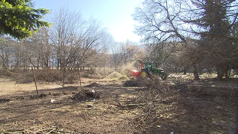 Obyvatelé sídliště v Ďáblicích jsou zděšeni počínáním zahradnické firmy, kterou si objednala radnice Prahy 8.