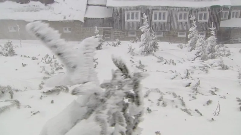 Silný vítr zasáhl sever Česka